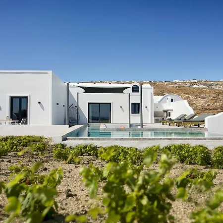 Vinebranch * Vourvoulos