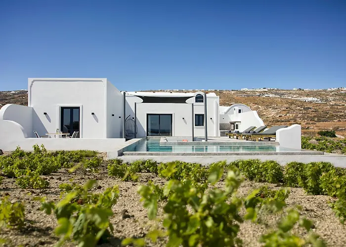 Vinebranch * Vourvoulos