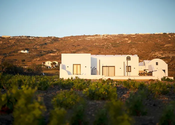 Vinebranch * Vourvoulos