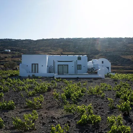 Vinebranch Villa *