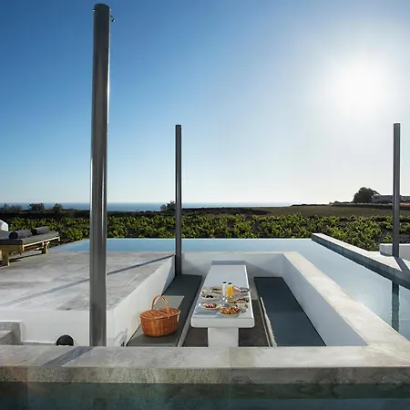 Vinebranch Villa *