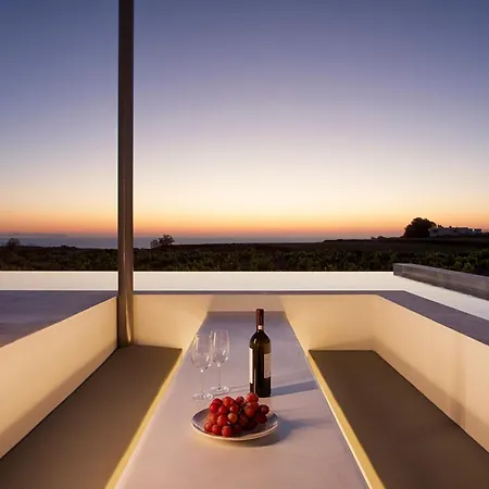 Vinebranch Villa Vourvoulos