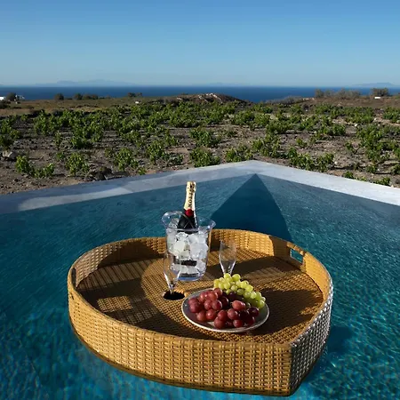 Vinebranch Villa *