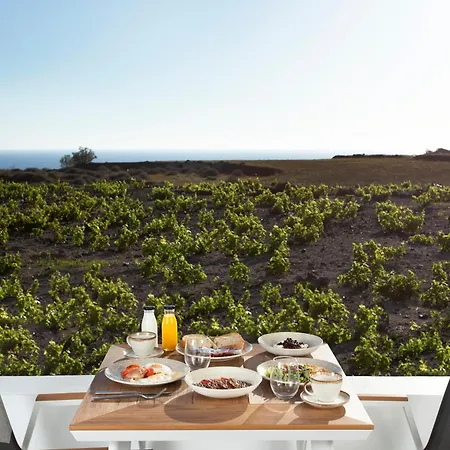 Vinebranch Villa *