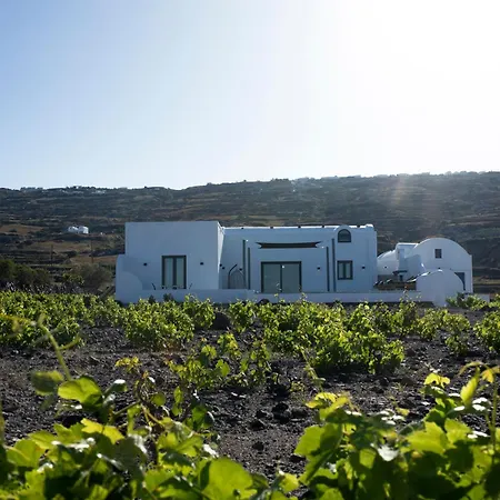 Vinebranch * Vourvoúlos