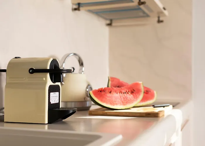 Βίλα Vinebranch *