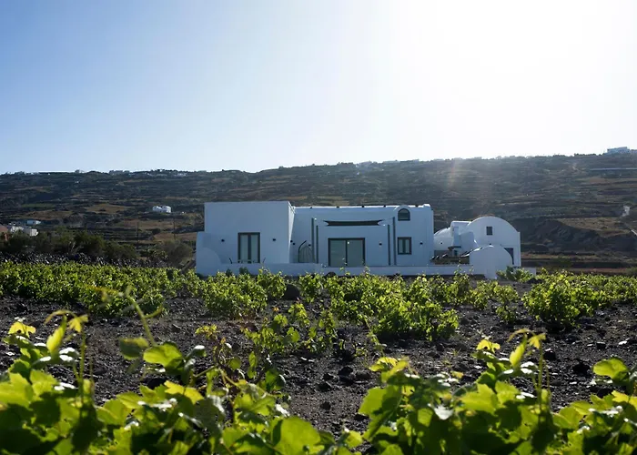 Vinebranch * Βούρβουλος