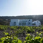 Vinebranch * Vourvoúlos