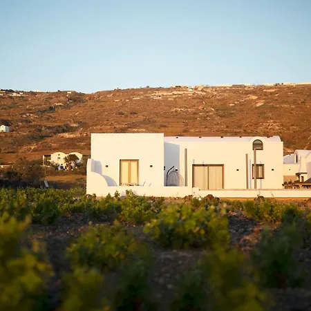 Vinebranch * Vourvoúlos